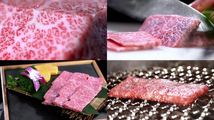 雪花牛小排 和牛烧肉 顶级牛肉成品展示