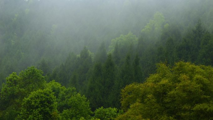 山里的雾谷雨  阴雨云雾天气