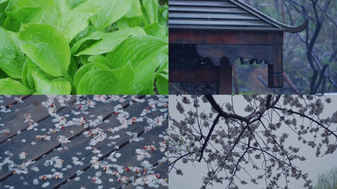 春雨 谷雨 雨景