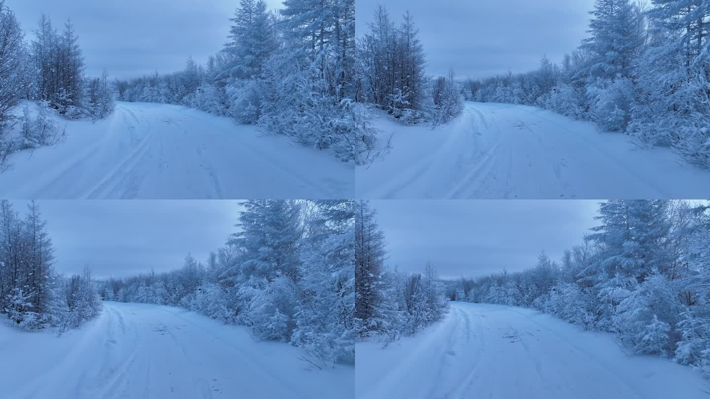 林区道路冬季雪路