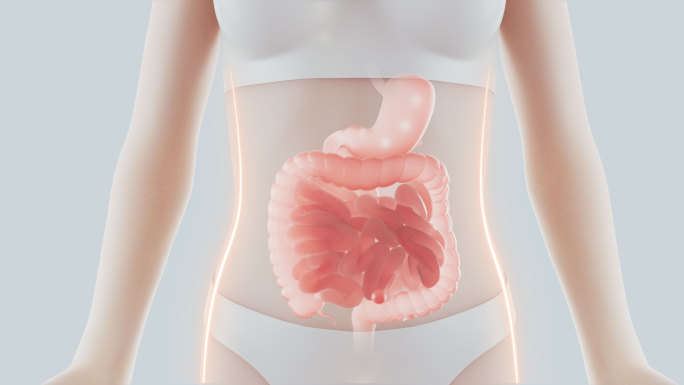 益生菌促进肠道肠胃消化