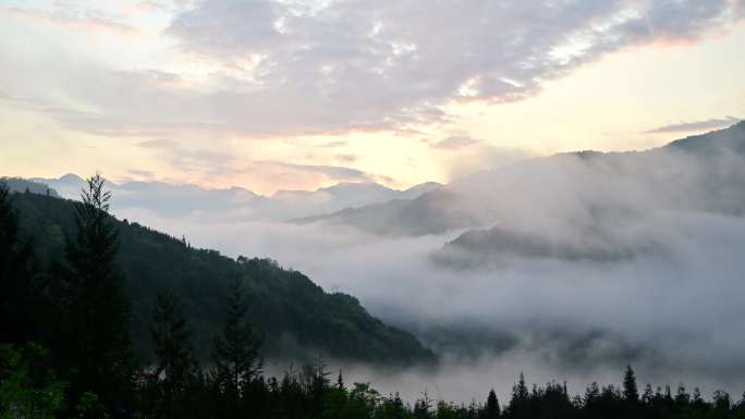 唯美自然风景森林公园云雾大气风光延时摄影