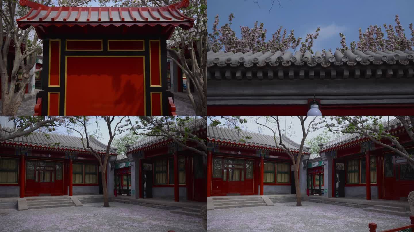 中式建筑 庭院 海棠花