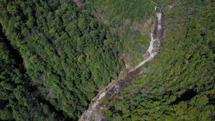 航拍大山小溪清澈流水青苔松枝