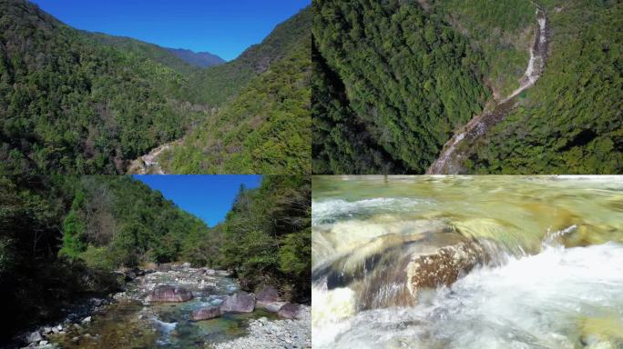 航拍大山小溪清澈流水青苔松枝