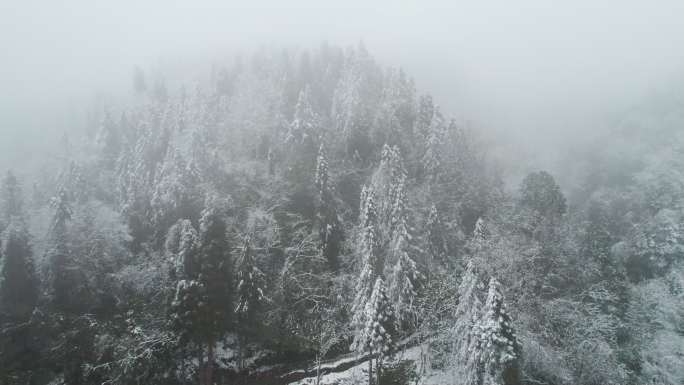 山间大雪