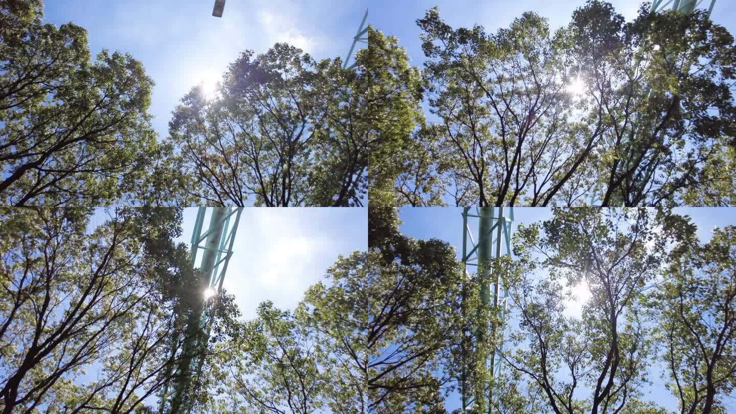 夏天阳光穿过树林树叶子自然风景视频素材9