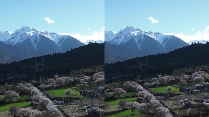 4k航拍西藏林芝桃花雪山公路