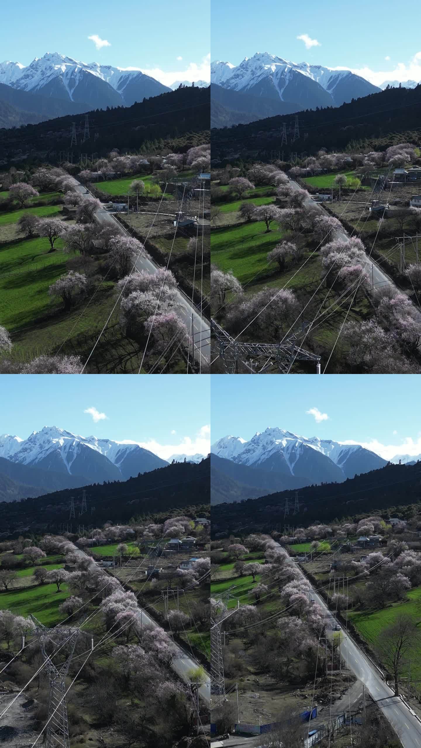 4k航拍西藏林芝桃花雪山公路