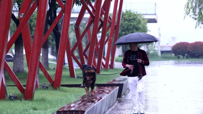 打伞的男人和狗的风景