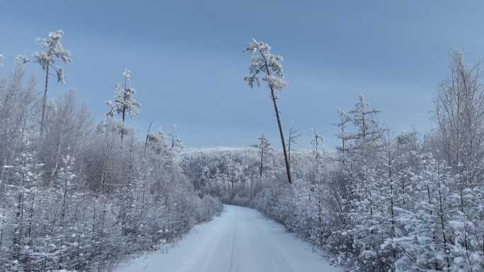 林间道路冰雪路面