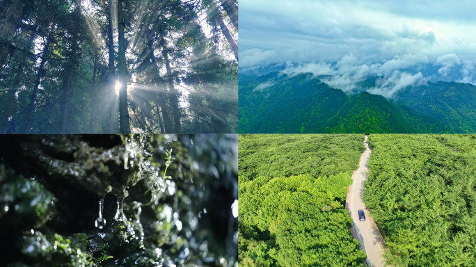 贵州生态云海大山森林云雾