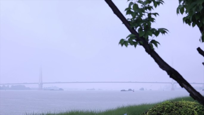 滨江雨中风景