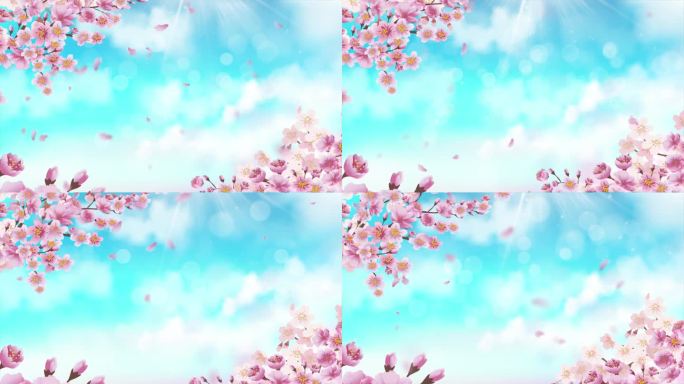 唯美粉色花瓣朵飘落蓝天白云粒子背景