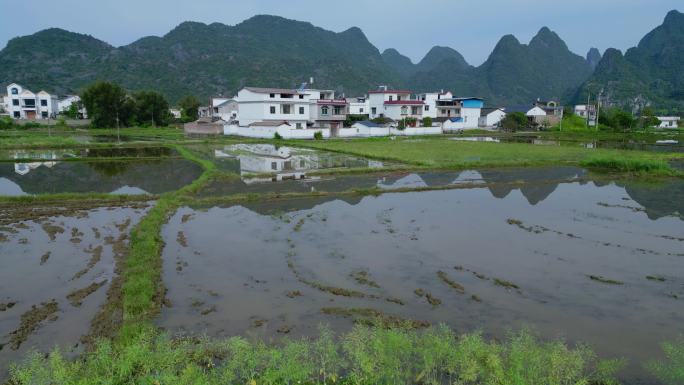 春天乡村风景绿色自然田园田野乡村农村