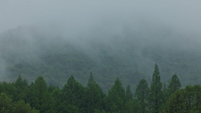 杭州 江南烟雨 素材