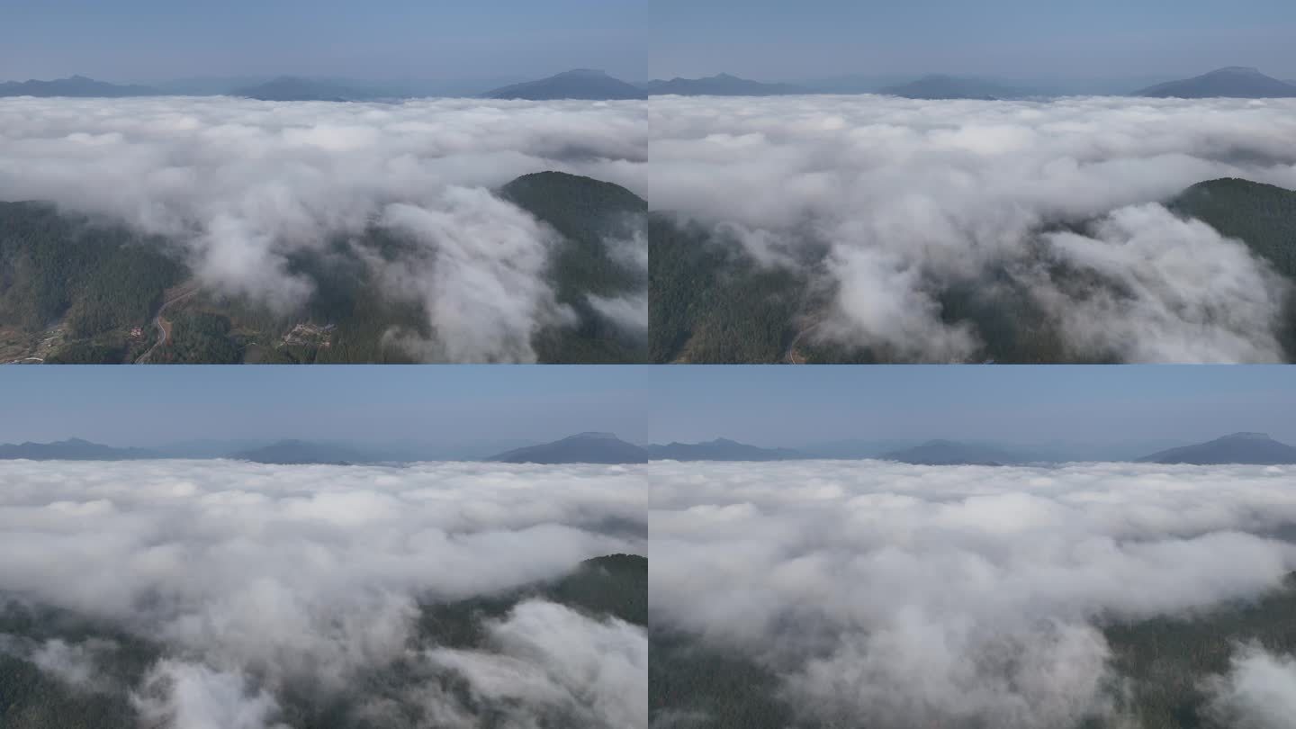 福建高山云雾森林云海风光