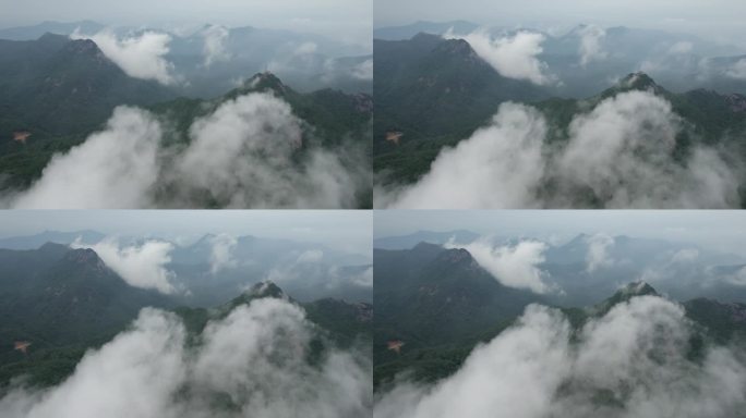 惠州博罗象头山云雾大景19