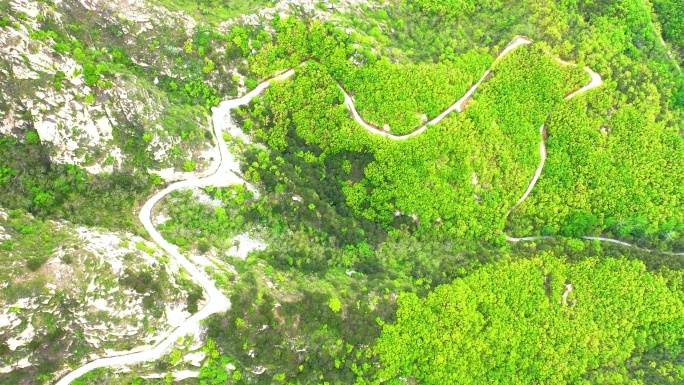 青山绿水大自然森林植被