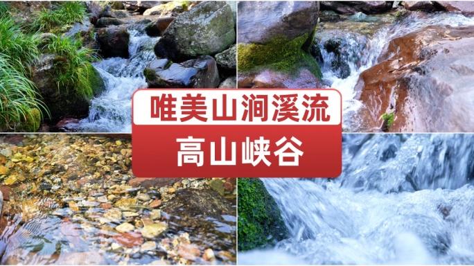 高山峡谷山涧溪流 自然生态纯净