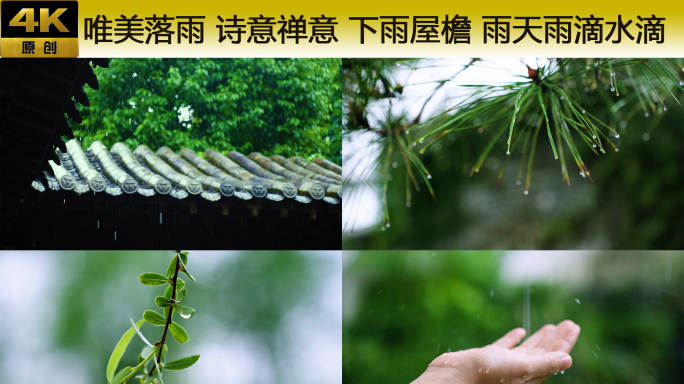 唯美落雨 诗意禅意 下雨屋檐 雨天雨滴