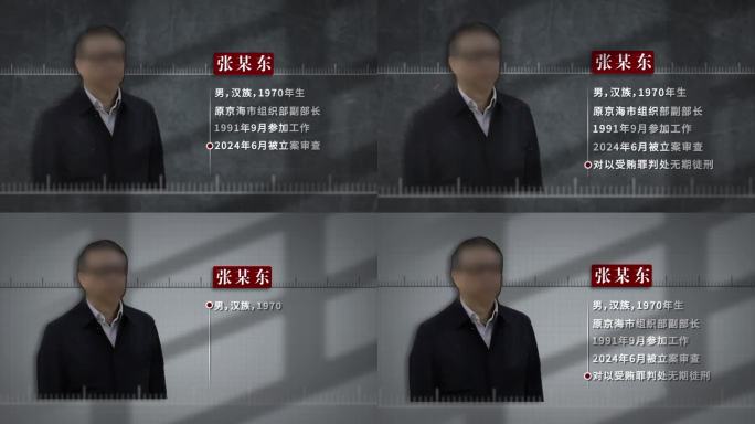 反腐警示纪委犯罪嫌疑人介绍AE模板