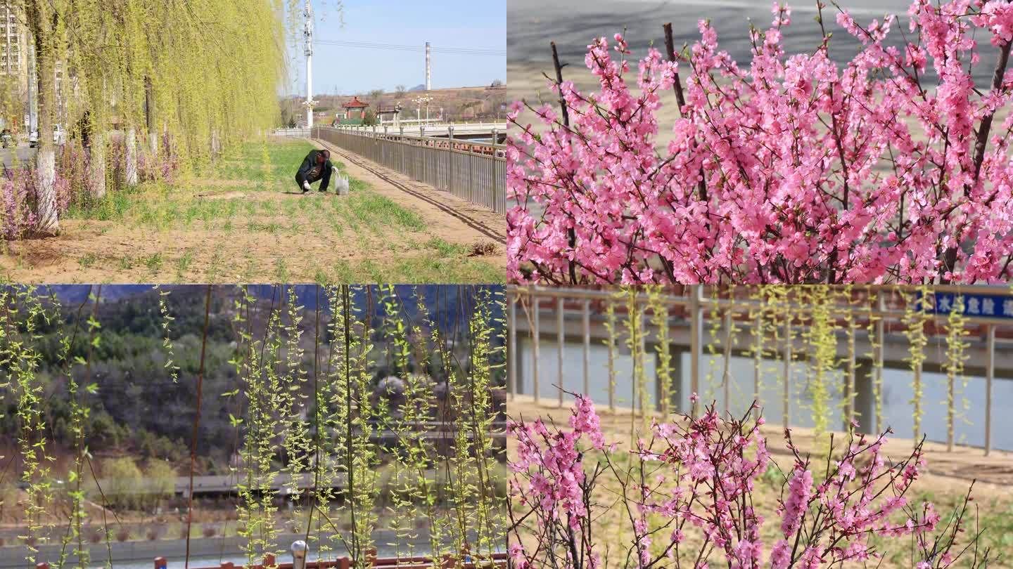 【合集】春天   春风吹动嫩绿的枝芽