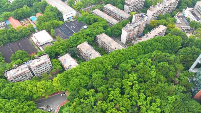 湖北武汉华中师范大学校园航拍大学高校学校