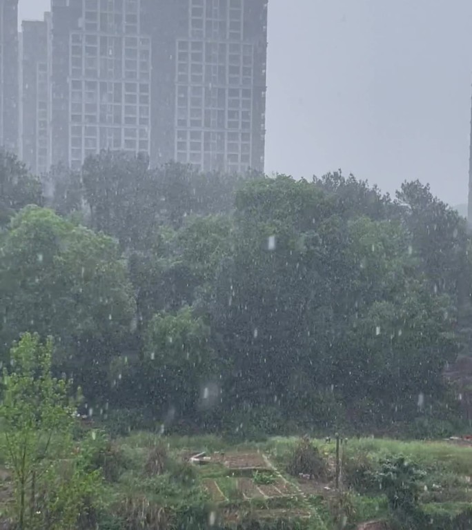 雷暴雨