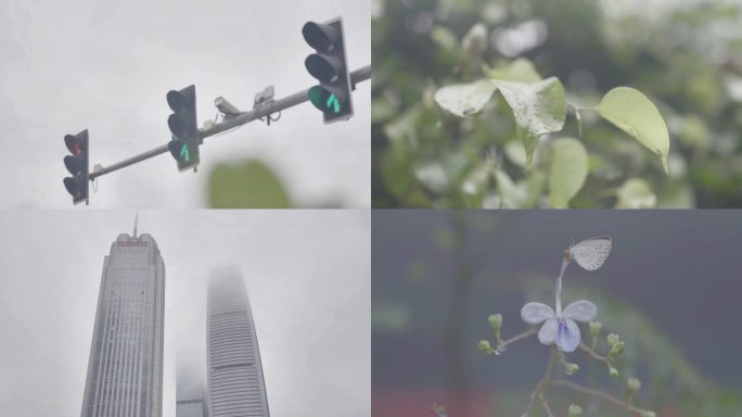 雨天东莞 行人过马路