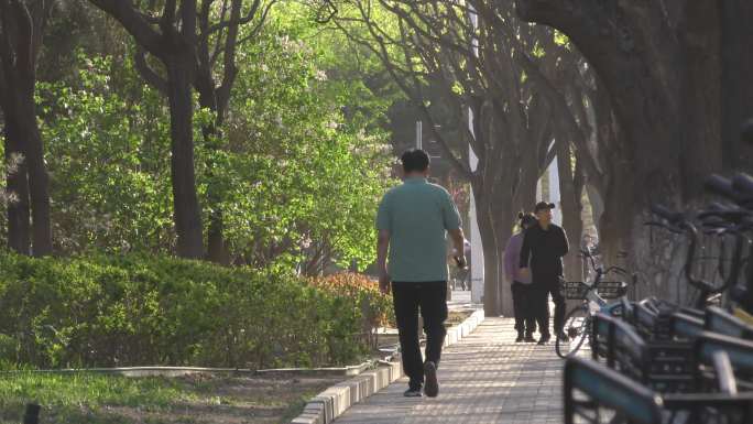 车流人流阳光大道北京城市生活骑行上班忙碌