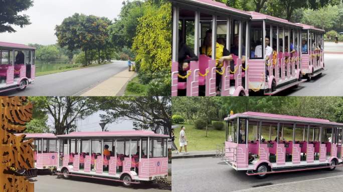 景区旅游观光粉色小火车