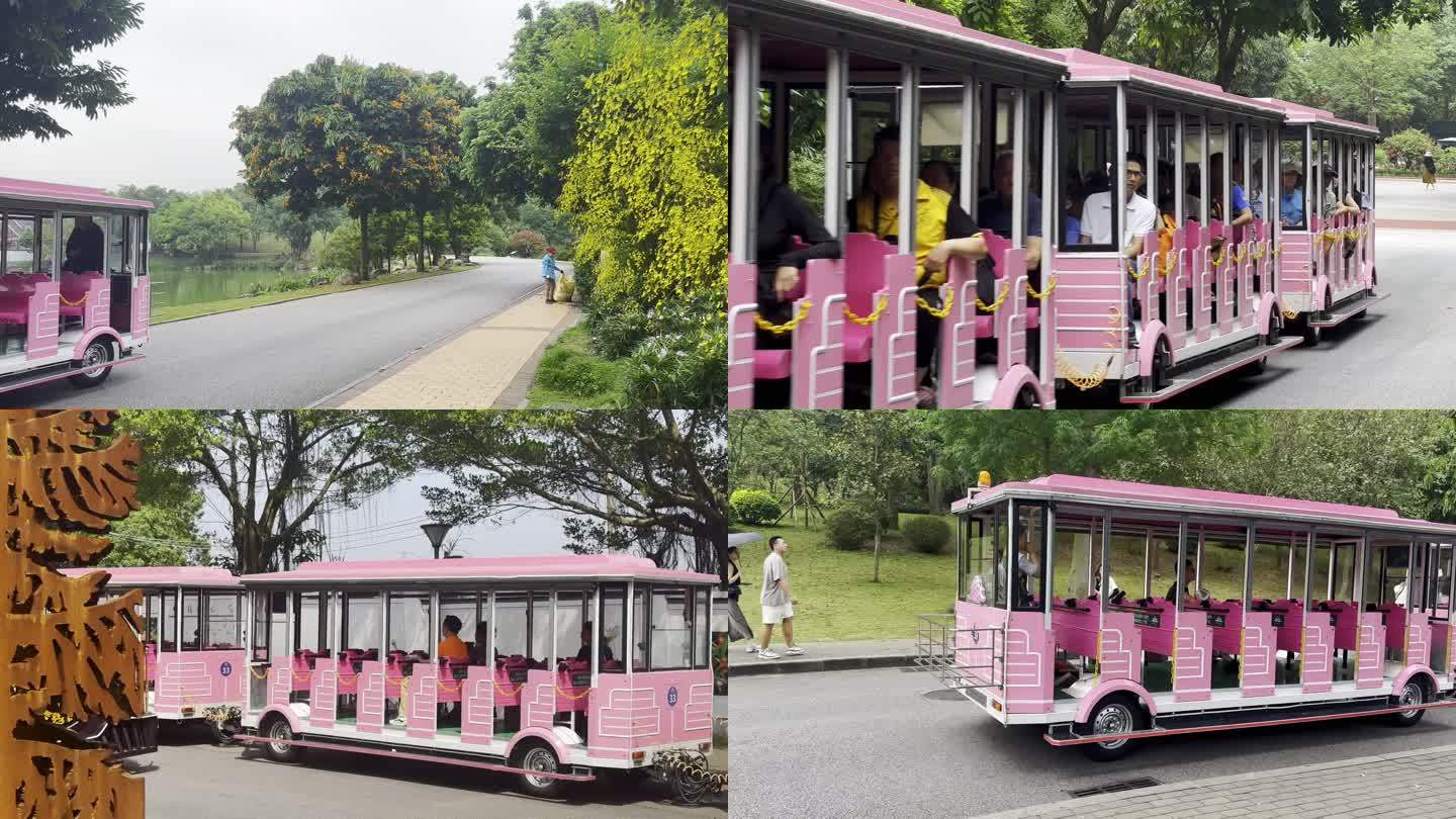景区旅游观光粉色小火车