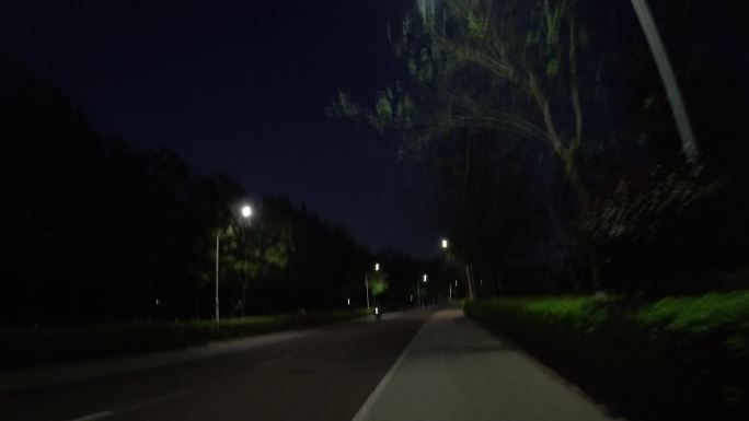 自行车专用车道/夜景/移动延时摄影摩天轮