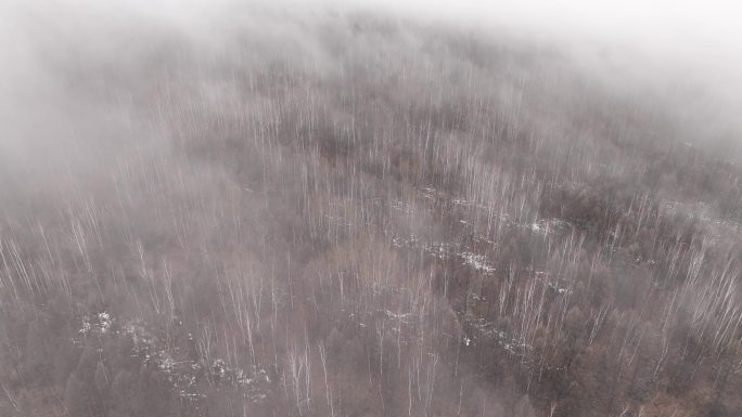 大兴安岭冷春山林残雪云雾