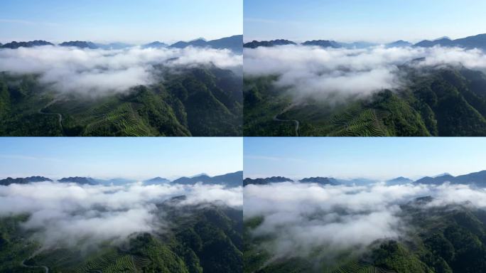 大山里雨后云雾风景