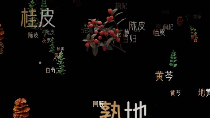 草药粒子04(AE模版)中药粒子中药成分