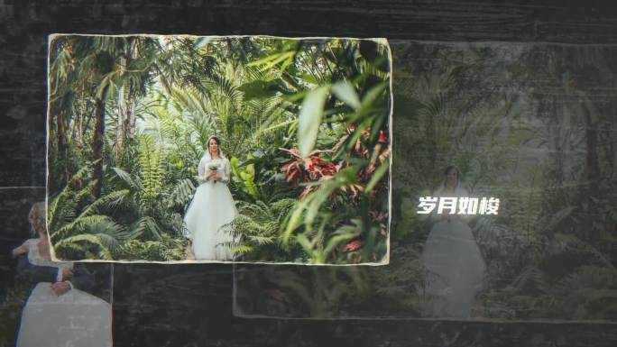 婚礼旅行毕业活动记录浪漫回忆照片模板