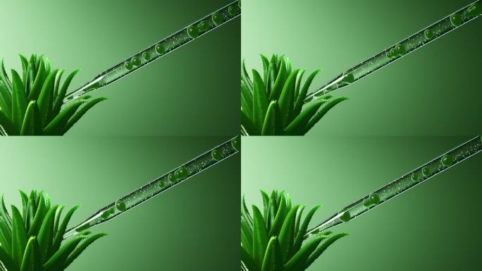 绿色细胞液提取植物草本精华液护肤美容广告