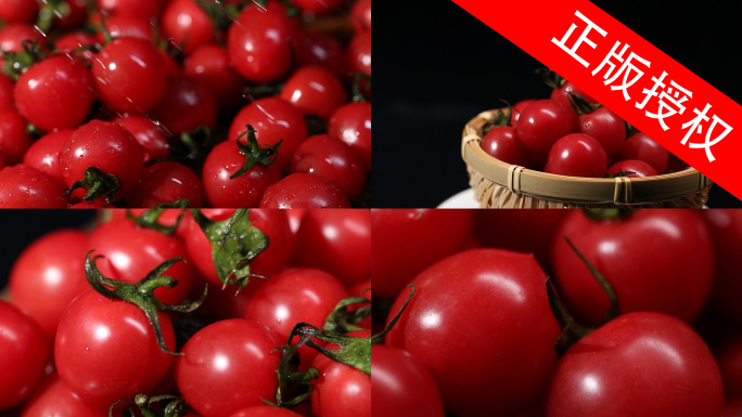 小番茄 圣女果 西红柿 蔬菜 4K高清