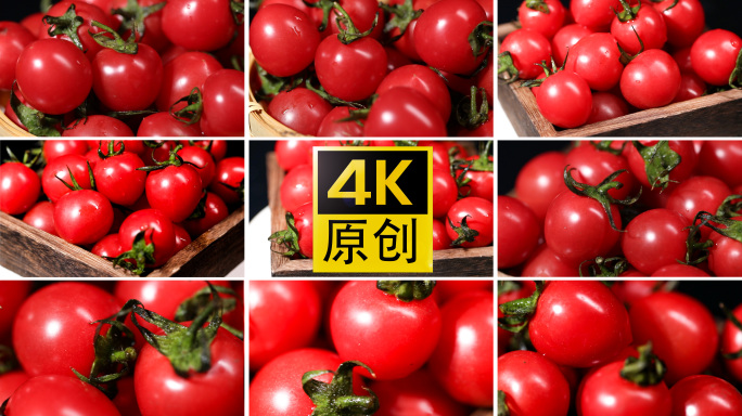 小番茄 圣女果 西红柿 蔬菜 4K高清