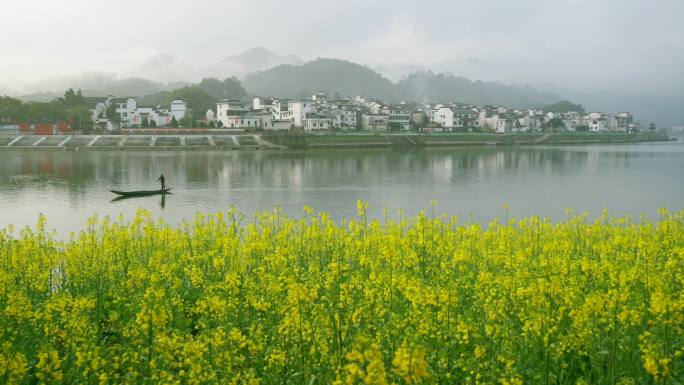 安徽新安江山水画廊春天油菜花云雾渔船
