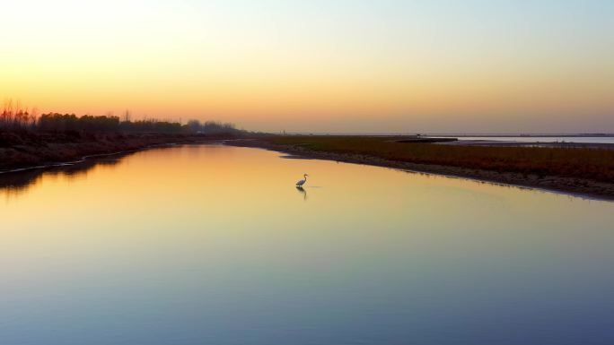 夕阳黄河 航拍 黄河鸟群