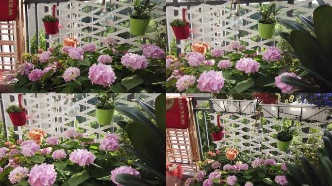 重庆北碚卢作孚的空中花园