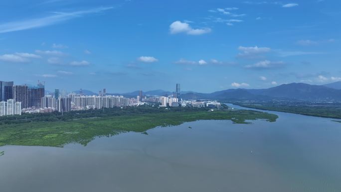 深圳福田区红树林自然保护区航拍