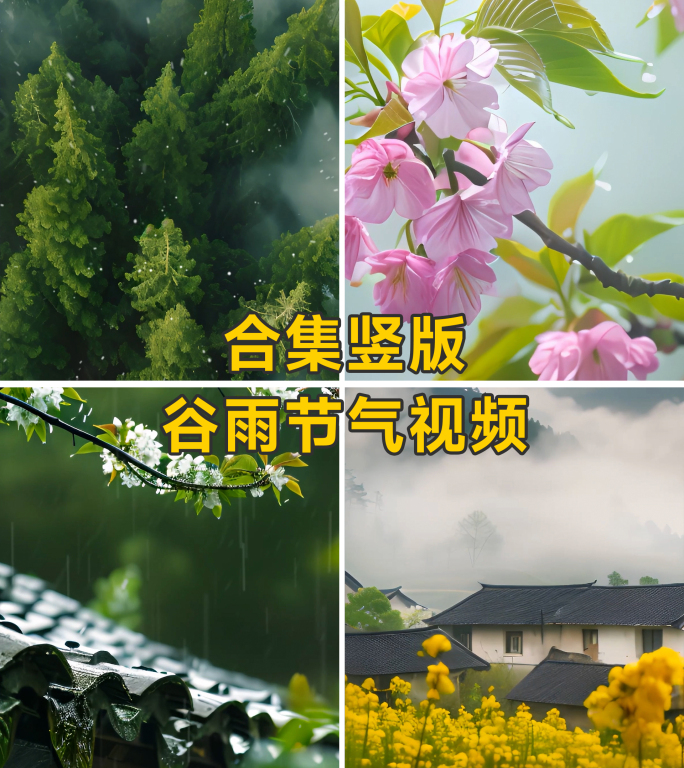 谷雨竖版节气视频