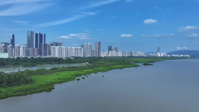 深圳福田区红树林自然保护区航拍