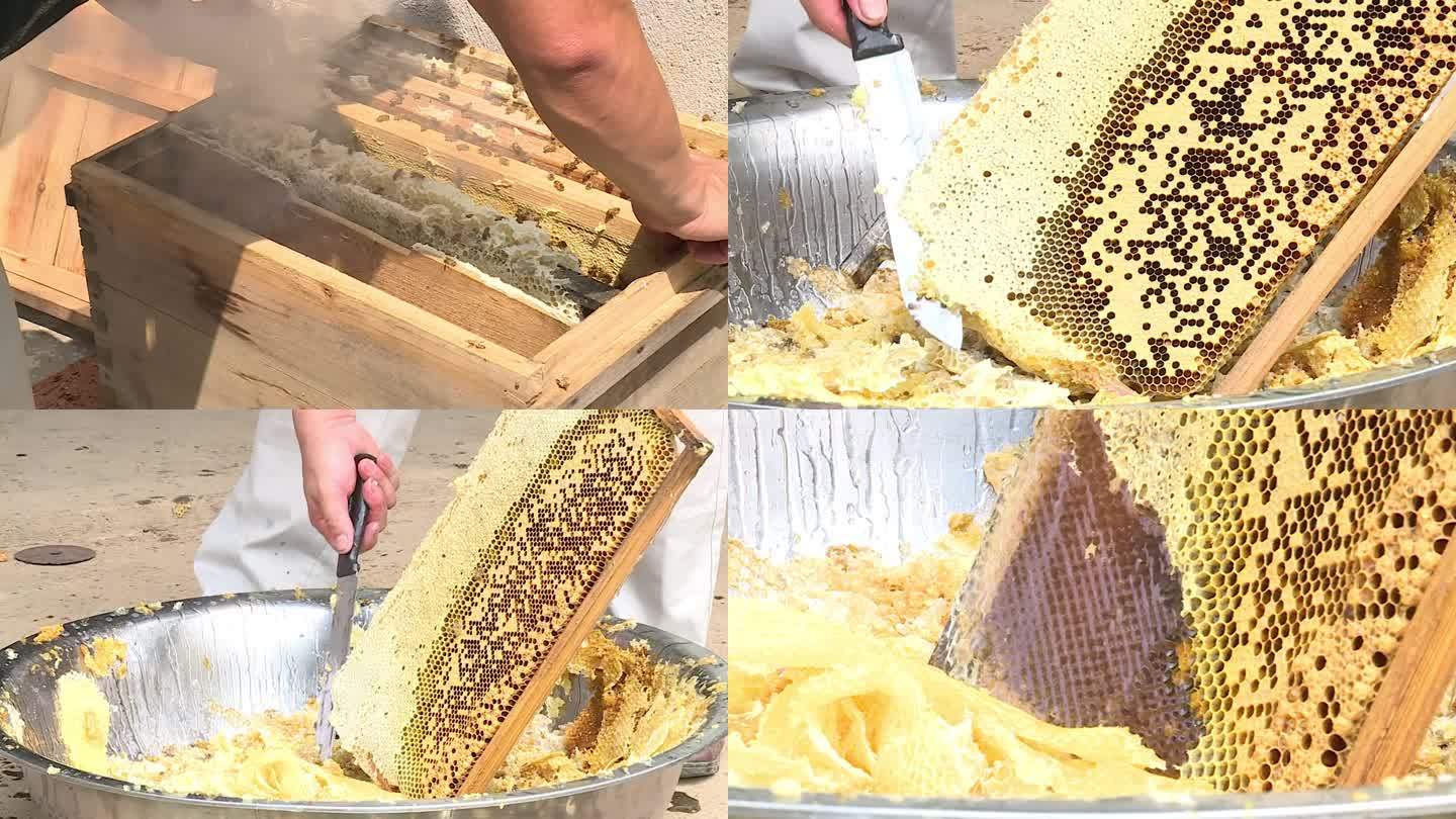 养蜂蜜蜂割蜜摇蜜蜂箱蜂巢