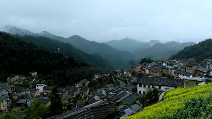 航拍安徽石潭村春天油菜花田晨雾