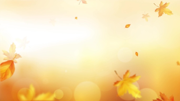 金色枫叶秋天季粒子唯美背景